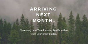 Your Own Tree Planting Dashboard 🌲 - Stoked&Woke Clothing