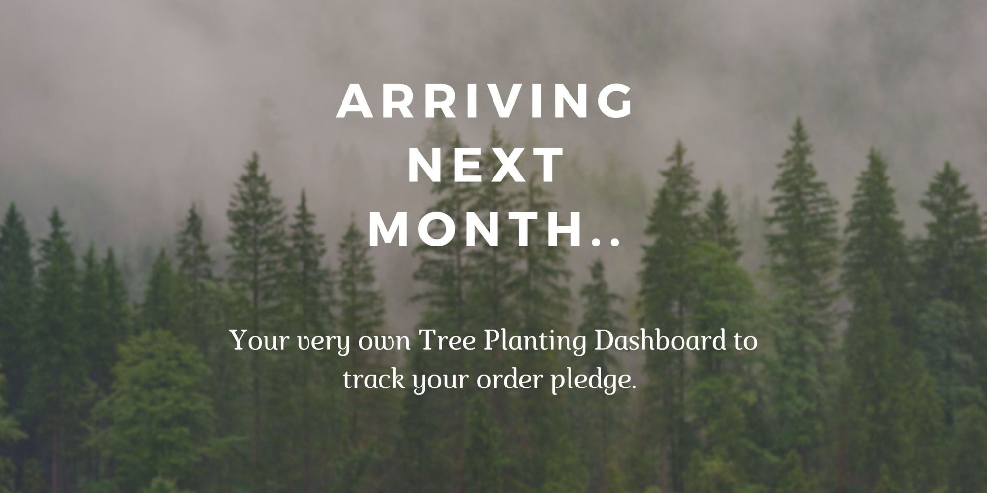 Your Own Tree Planting Dashboard 🌲 - Stoked&Woke Clothing